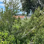 Trgici *