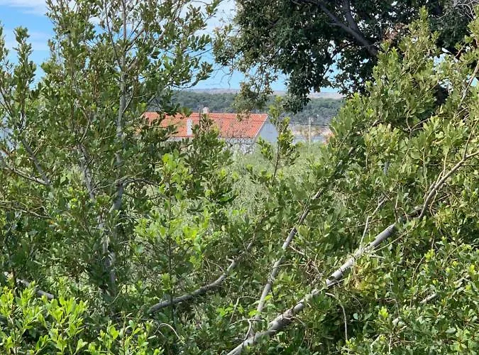 Trgici *
