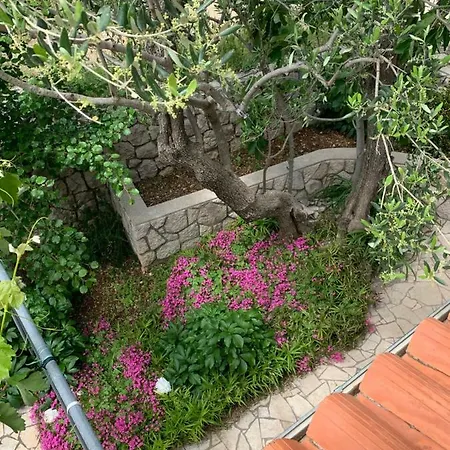 Trgici Apartment *