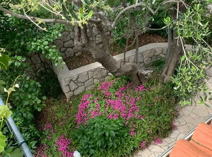 Trgici Apartamento *