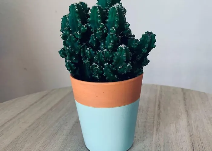 Trgici Barbat na Rabu